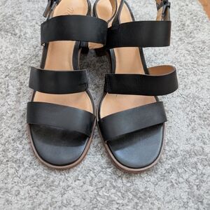 Elegant Black Women's Sandals